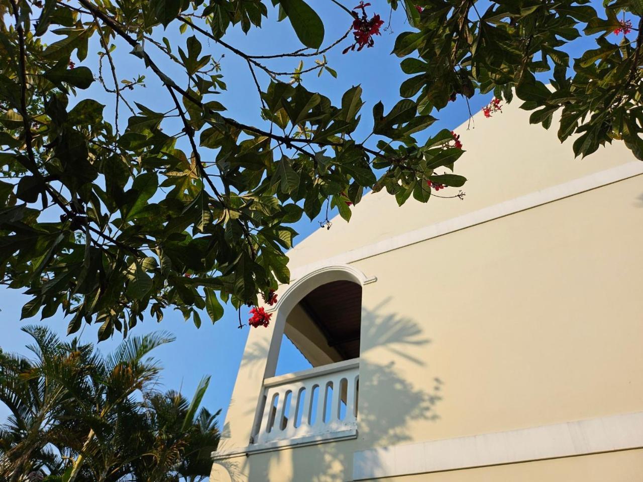 En Retreat Hoi An住宿加早餐旅馆 外观 照片